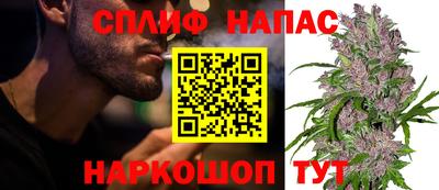 мдпв Пугачёв